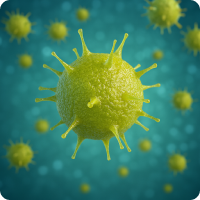 헤르페스 바이러스