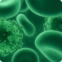 AIDS(후천성 면역 결핍증)