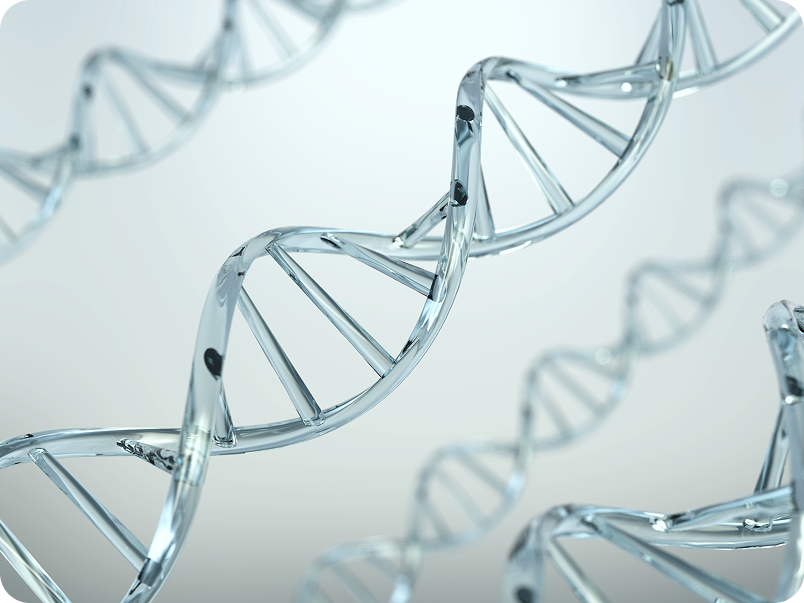 원더필 - 콜라겐